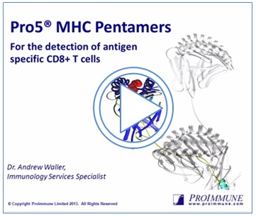 Pro5® MHC Pentamers