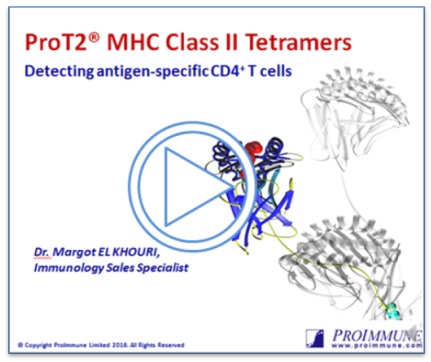 ProT2® MHC Class II Tetramers: Detecting Antigen-specific CD4+ T cells